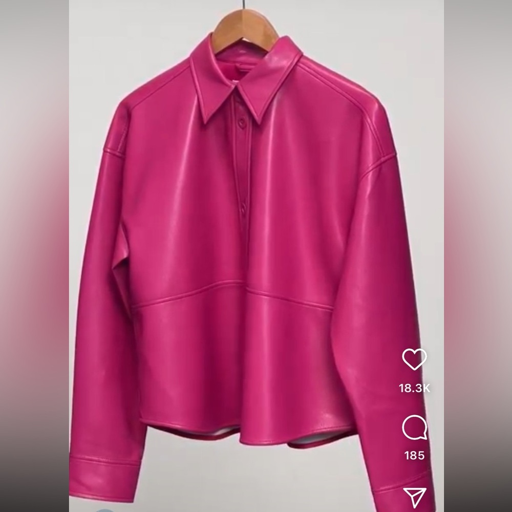 Aritzia Babaton Oversized Leather Jacket